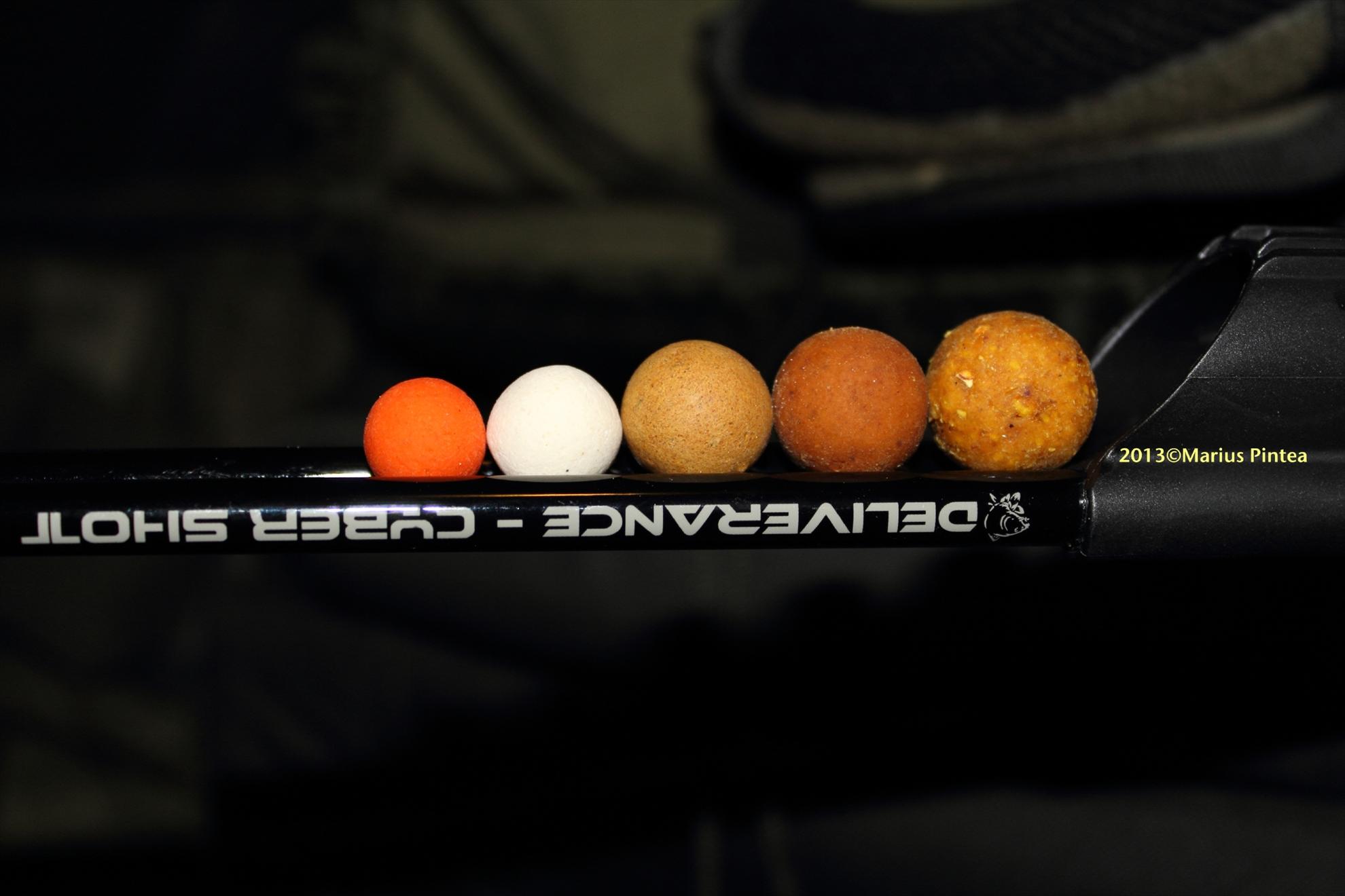 carpfishig -stil de viata - img3763m.jpg